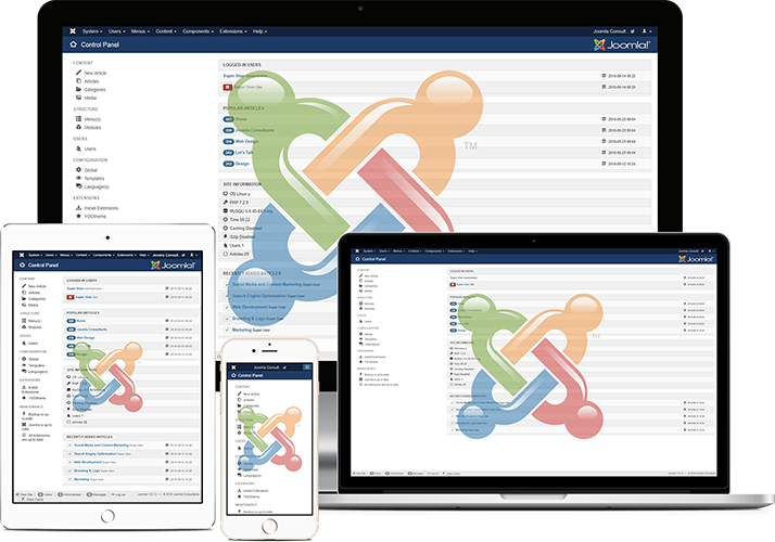 Joomla Results